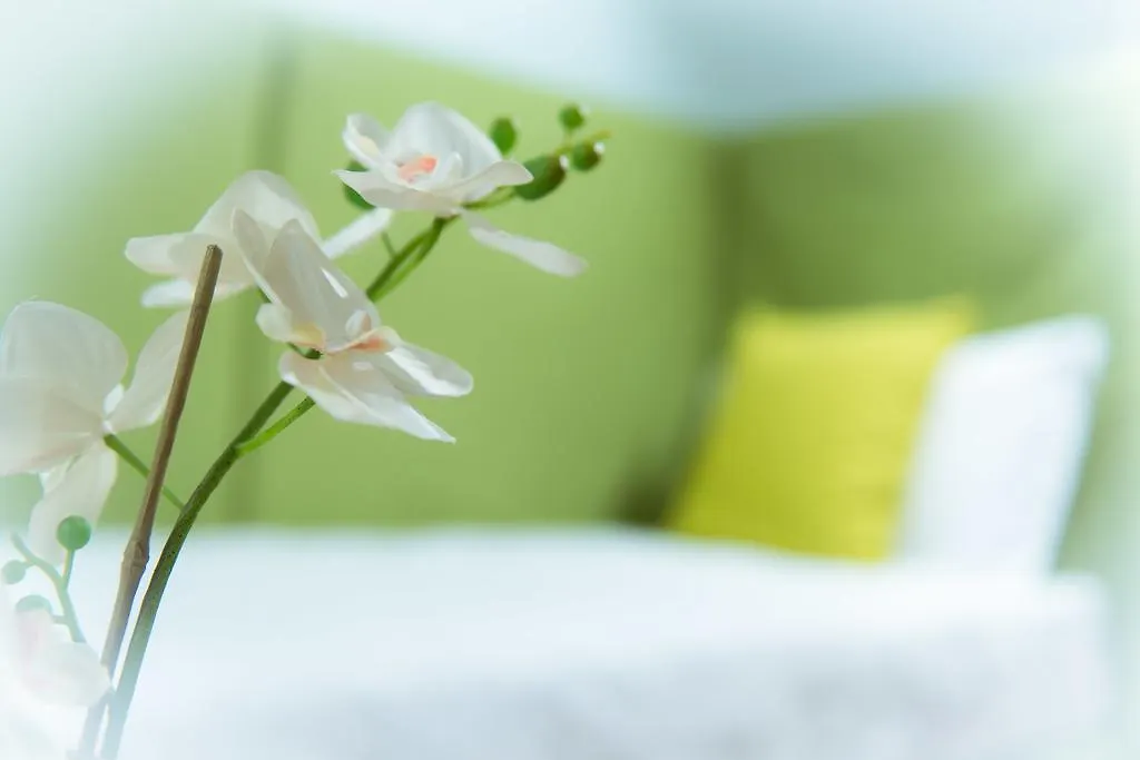 B&B San Benedetto Bergamo 3*,  Italy